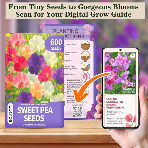 EquSym Sweet Pea Seeds showing colorful clusters brightening trellises