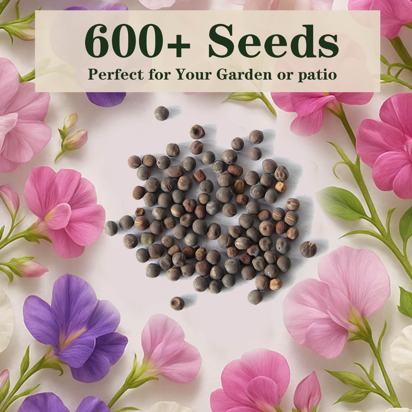 EquSym Sweet Pea Seeds with fragrant blooms for a scented balcony planter