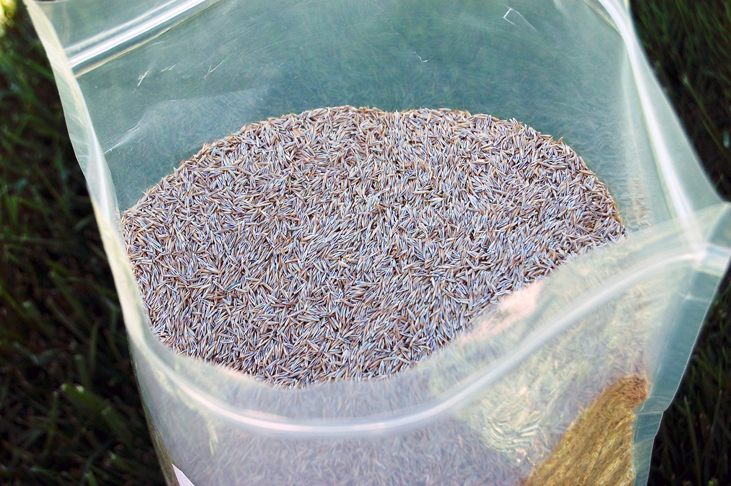 Eretz Creeping Red Fine Fescue Seed label detail shows premium Willamette Valley sourcing.