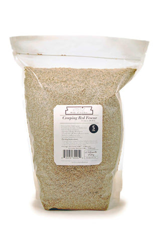 Eretz Creeping Red Fine Fescue Seed purity helps clean seed lots and reduces contamination.