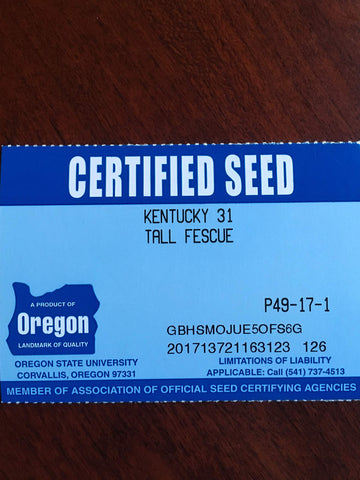 Pasture forage enhancement with Eretz K31 tall fescue seed.