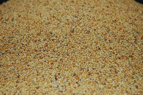 Eretz Tri-Clover is non-GMO and weed-seed-free.