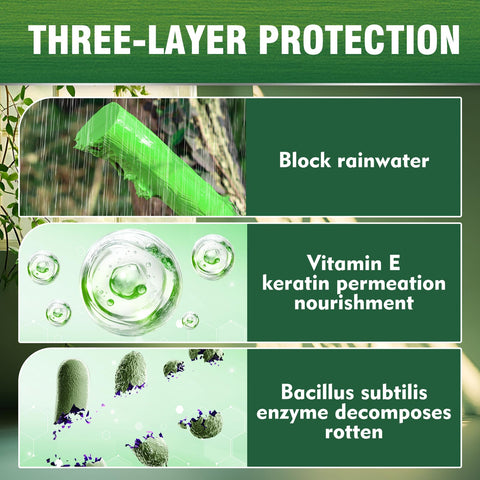 Apple tree with Erigathe wound sealer protecting pruning wound