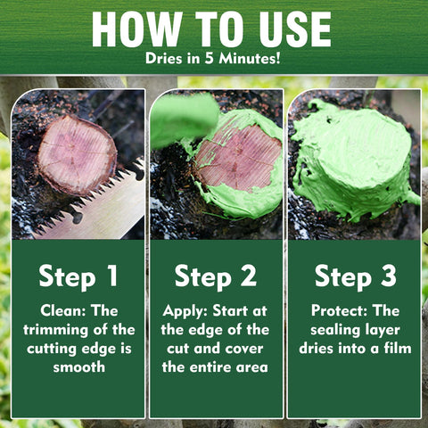 Erigathe brush applicator tool used to apply the paste on a cut