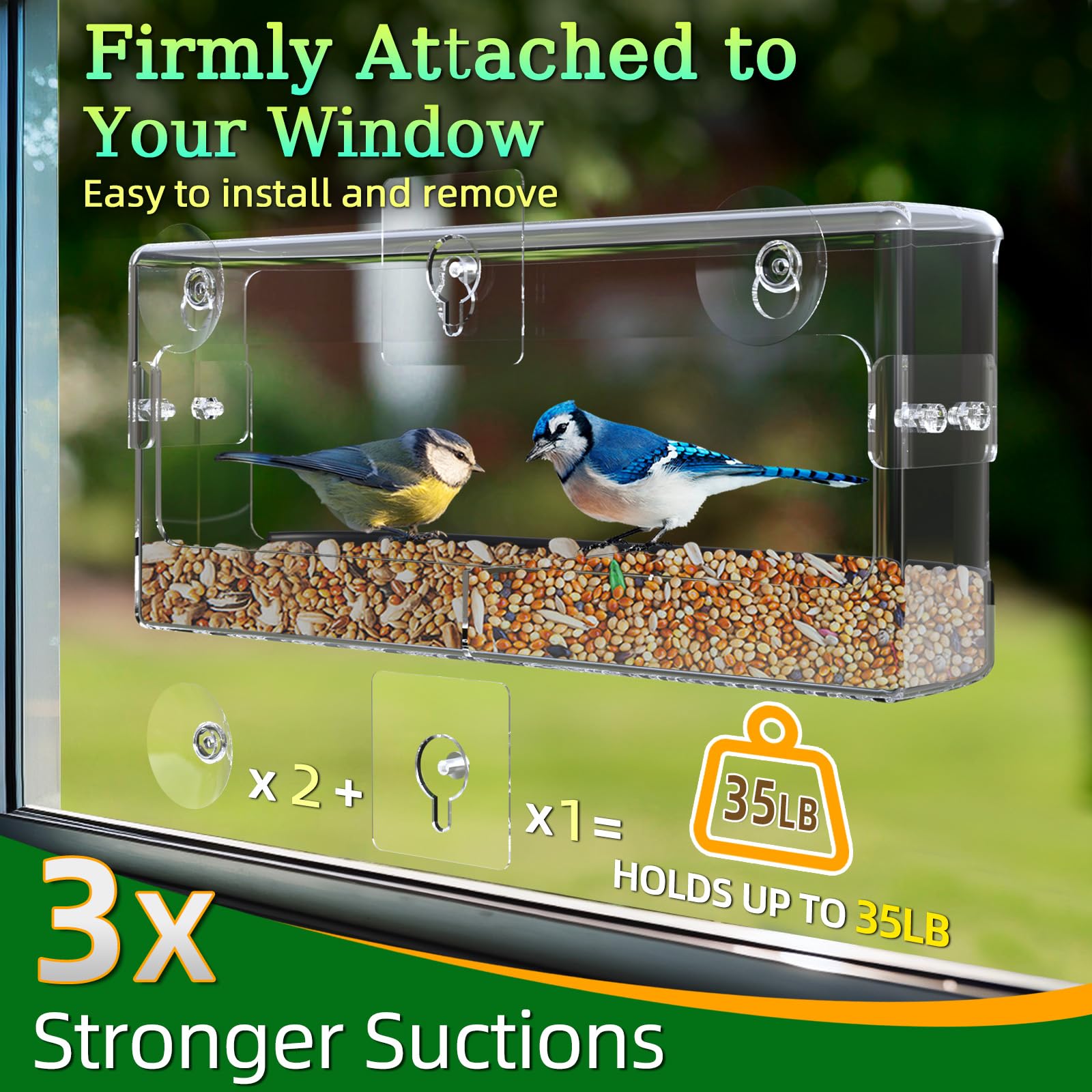 Removable seed tray simplifies adding food and cleaning after outdoor bird visits.