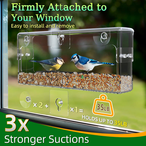 Removable seed tray simplifies adding food and cleaning after outdoor bird visits.