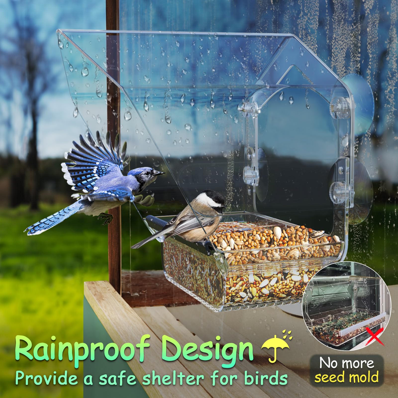 Porous seed tray dries quickly to reduce clumping after feedings.