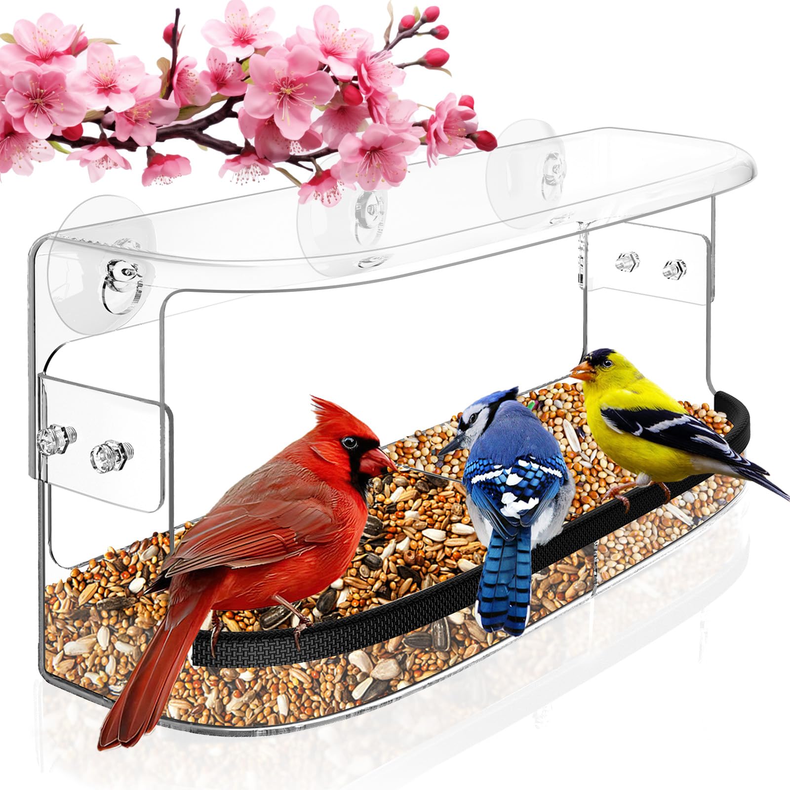 Ermete window bird feeder with clear view helps you watch backyard birds up close.