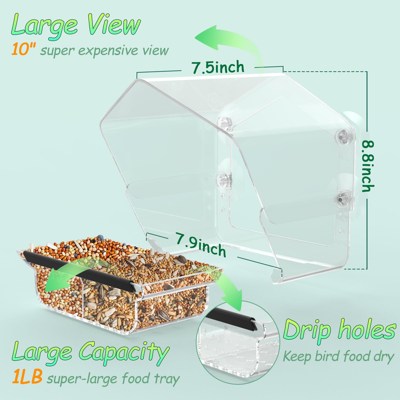 Ermete window feeder with large-view perspective lets birds appear up close.