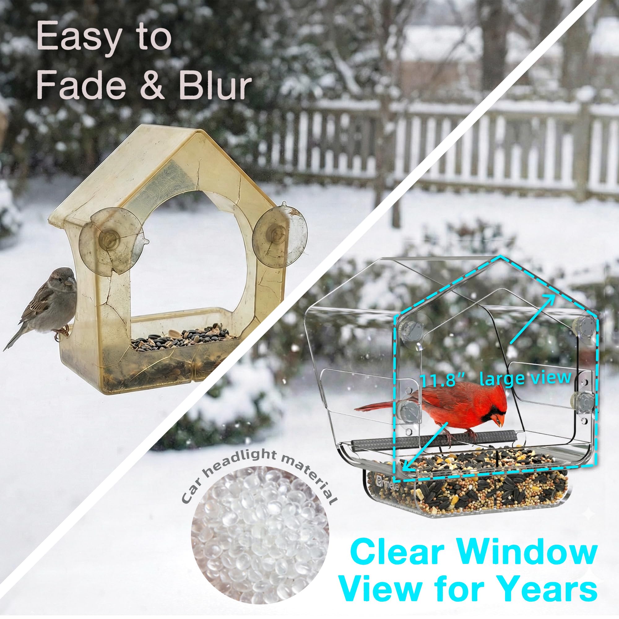 Great for families seeking indoor bird watching and learning.