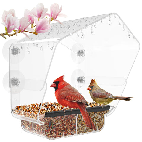 Ermete window bird feeder with strong suction cups for secure window mounting.