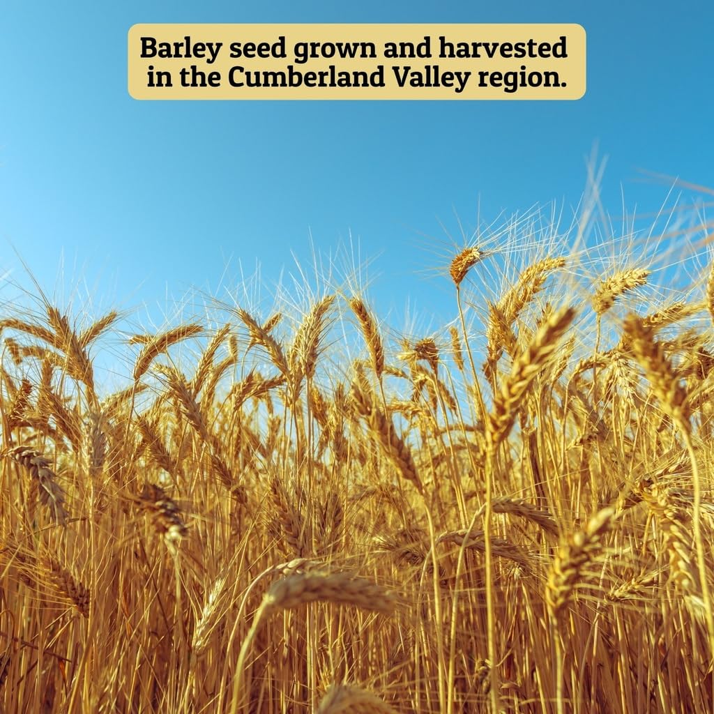 Barley-based feed for cattle using Ernst Grain & Livestock.