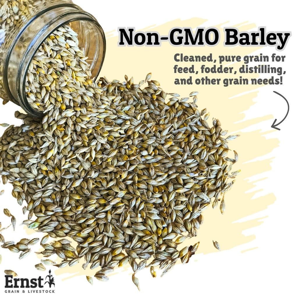 Barley kernels mixed into horse feed with Ernst Grain.