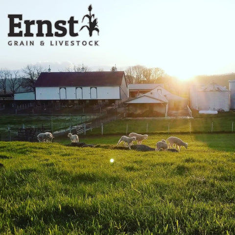 Ernst Grain & Livestock ground pile option attracts deer and squirrels.
