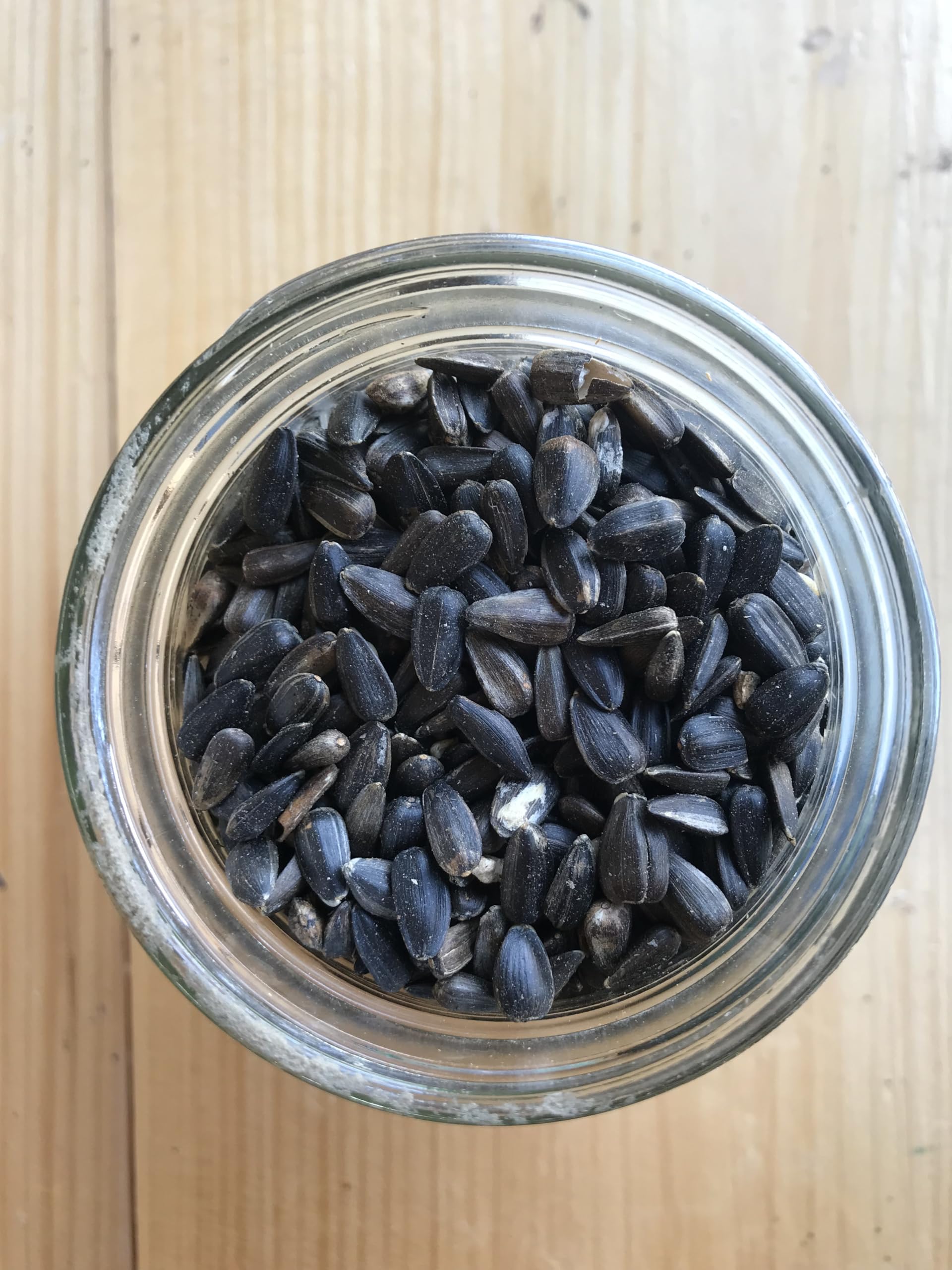 Ernst Grain & Livestock outdoor bird feeder setup with black oil sunflower seeds.