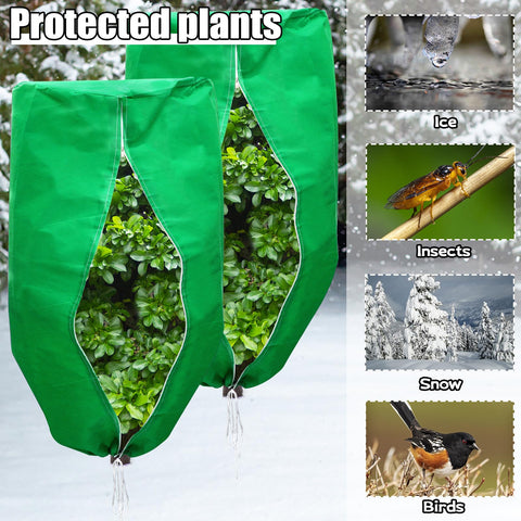 ERTIUANIO winter covers protect roses and perennials in harsh weather.