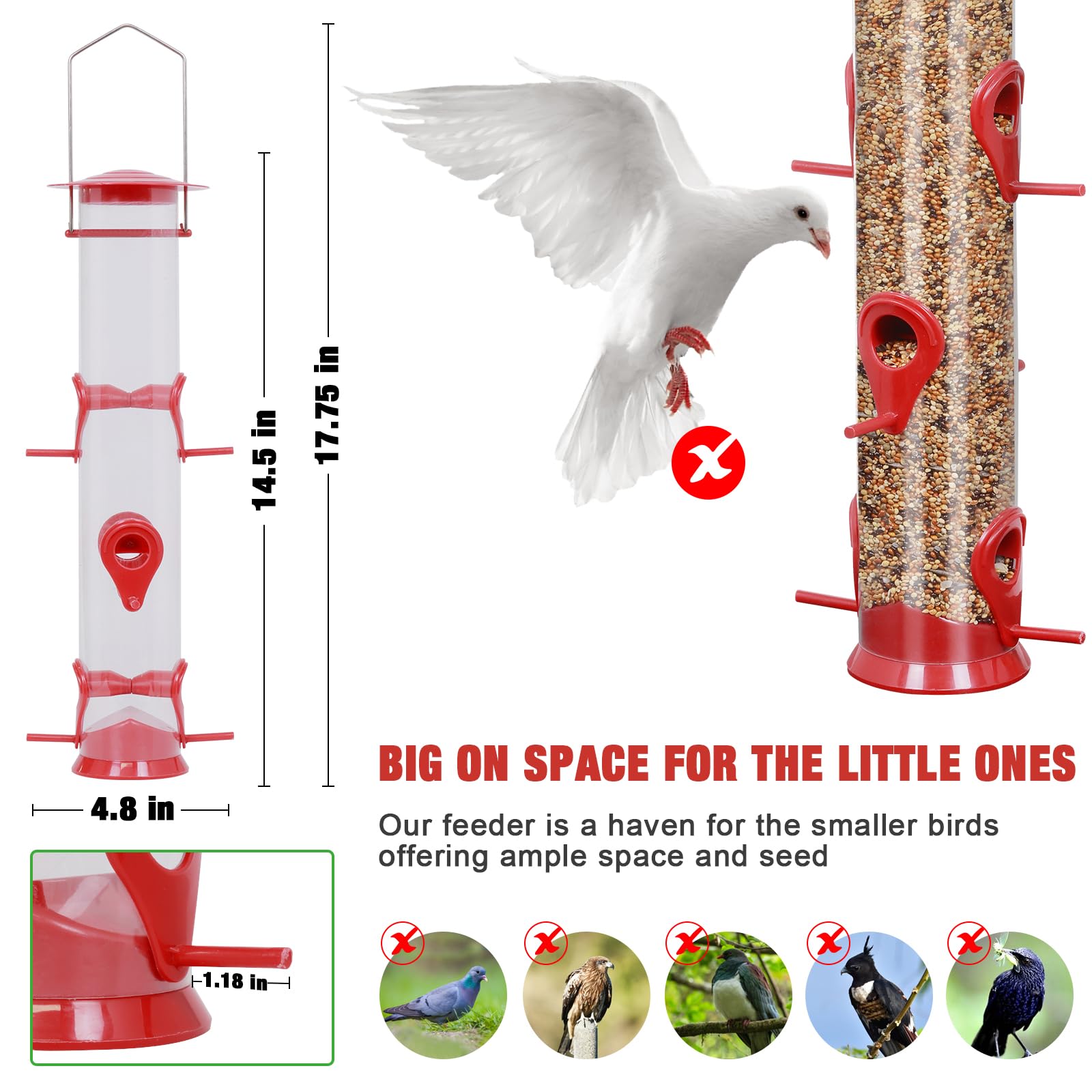 ERYTLLY feeder design helps deter squirrels while keeping birds fed.