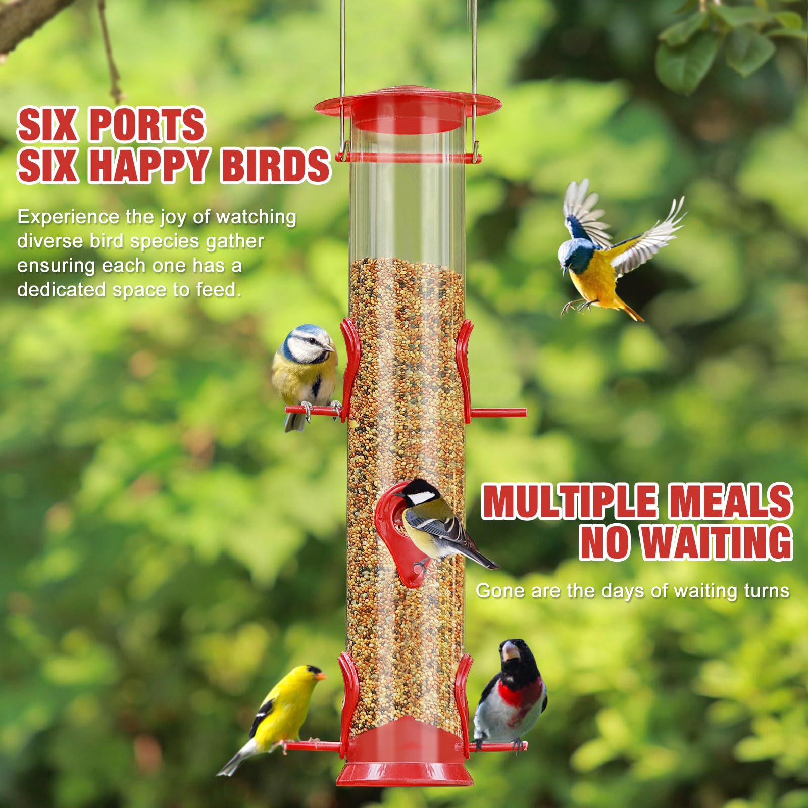 ERYTLLY transparent tube feeder lets you monitor seed levels at a glance.