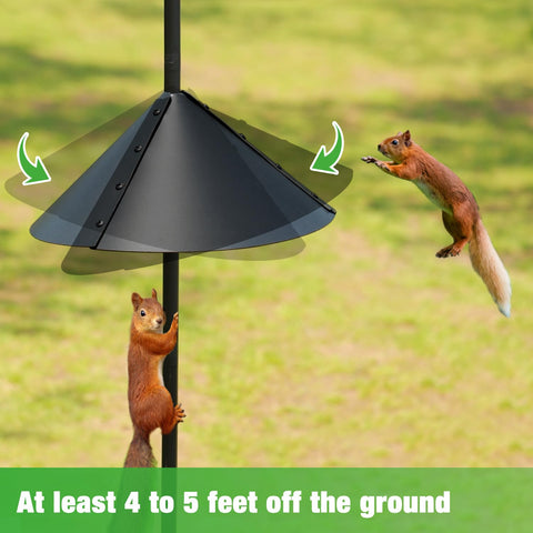 ERYTLLY squirrel-baffle on pole helps deter pests from feeders