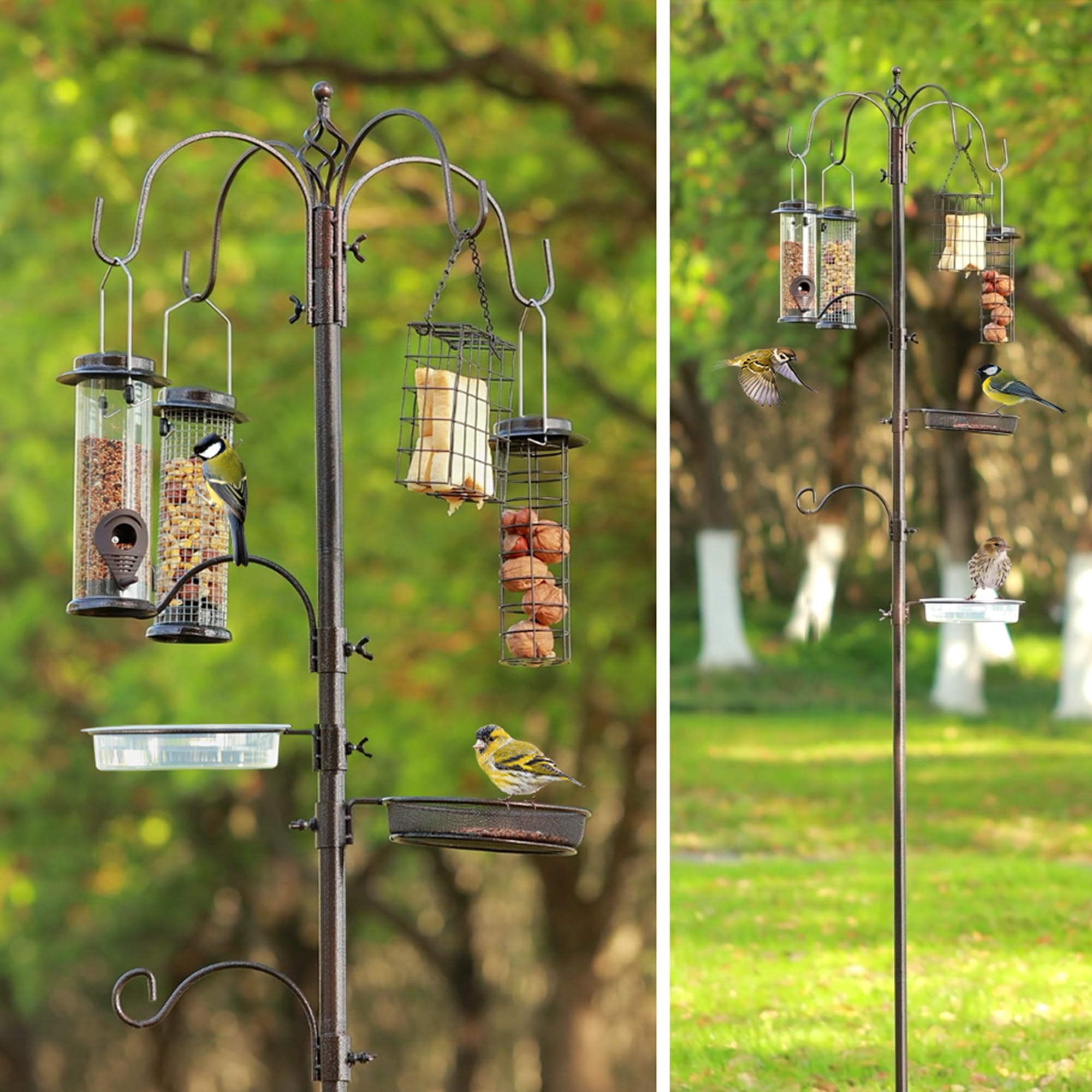 ERYTLLY outdoor bird watching setup ready for family enjoyment