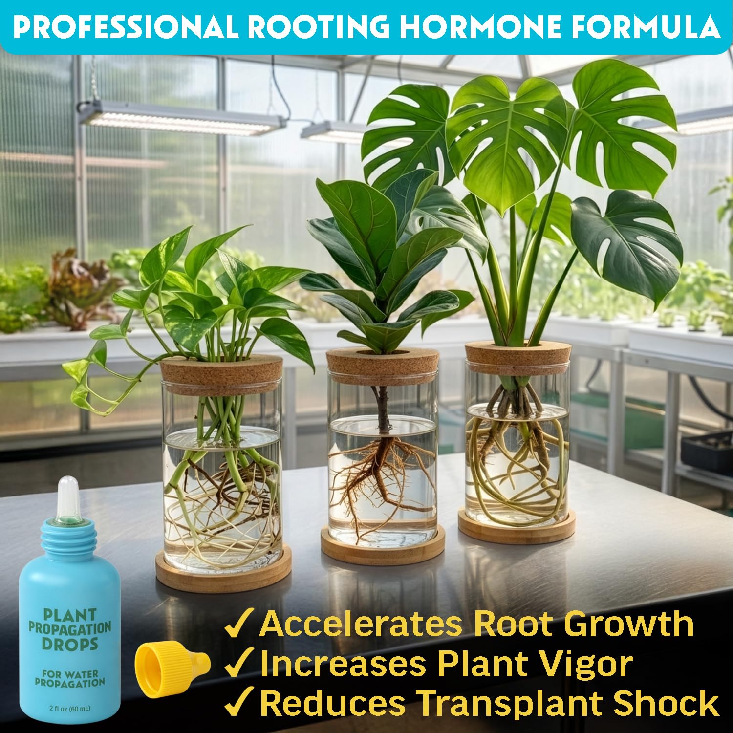 Escentile Rooting Drops dosing chart for accurate measurements during propagation.