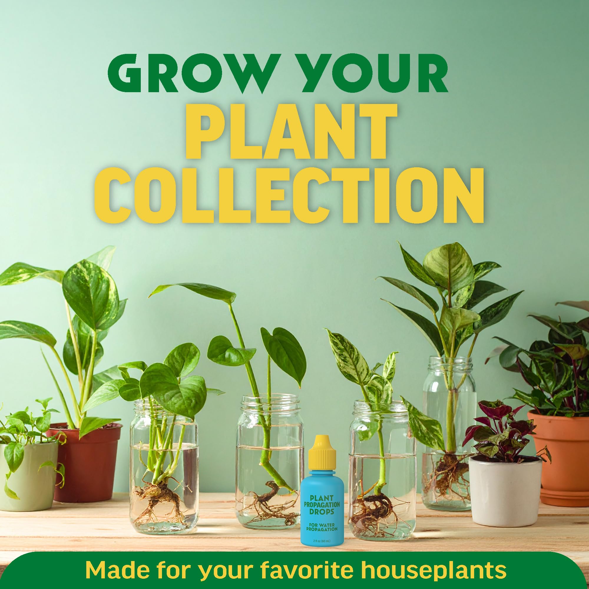 Escentile Rooting Drops aid indoor plant care for pothos and monstera