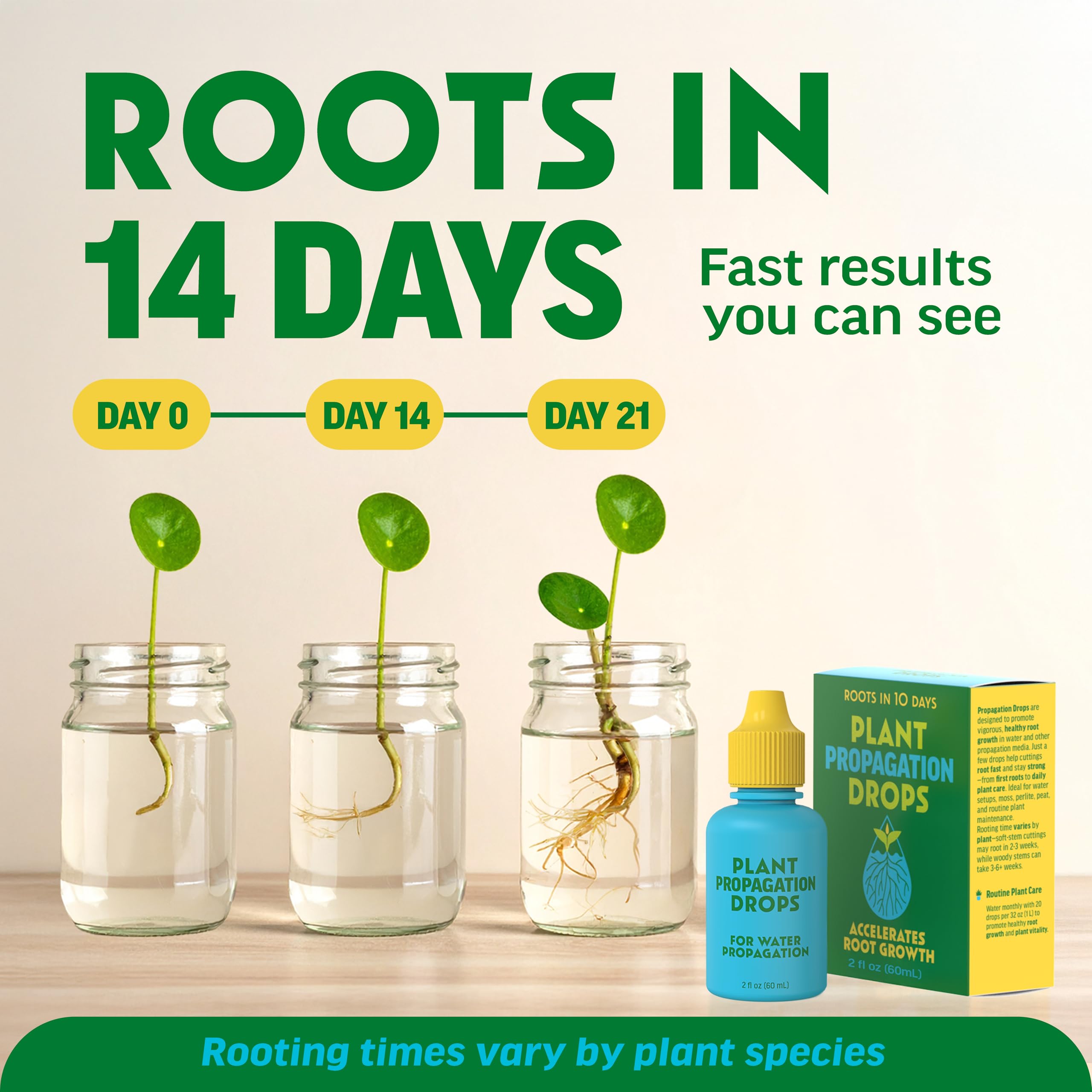 Escentile Rooting Drops used in water propagation supports root initiation
