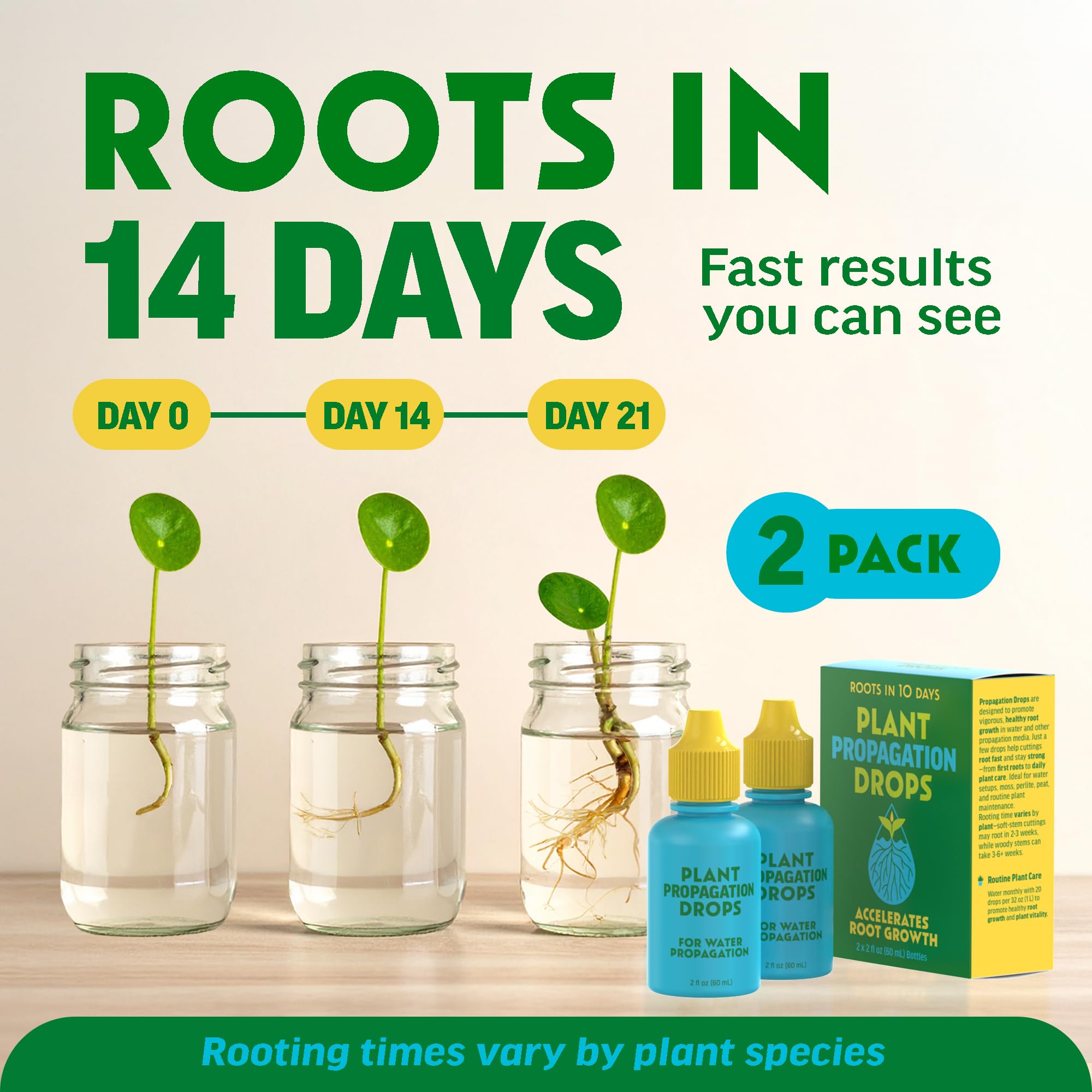 Escentile Rooting Drops used in water propagation to speed root formation.