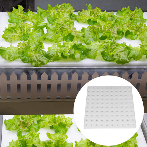 200-pack sponge kit ships in a durable, user-friendly package