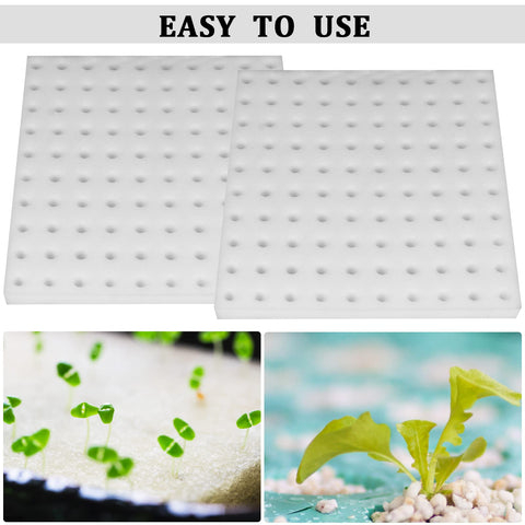 High-quality sponge material ensures safe, reuse-friendly soilless gardening