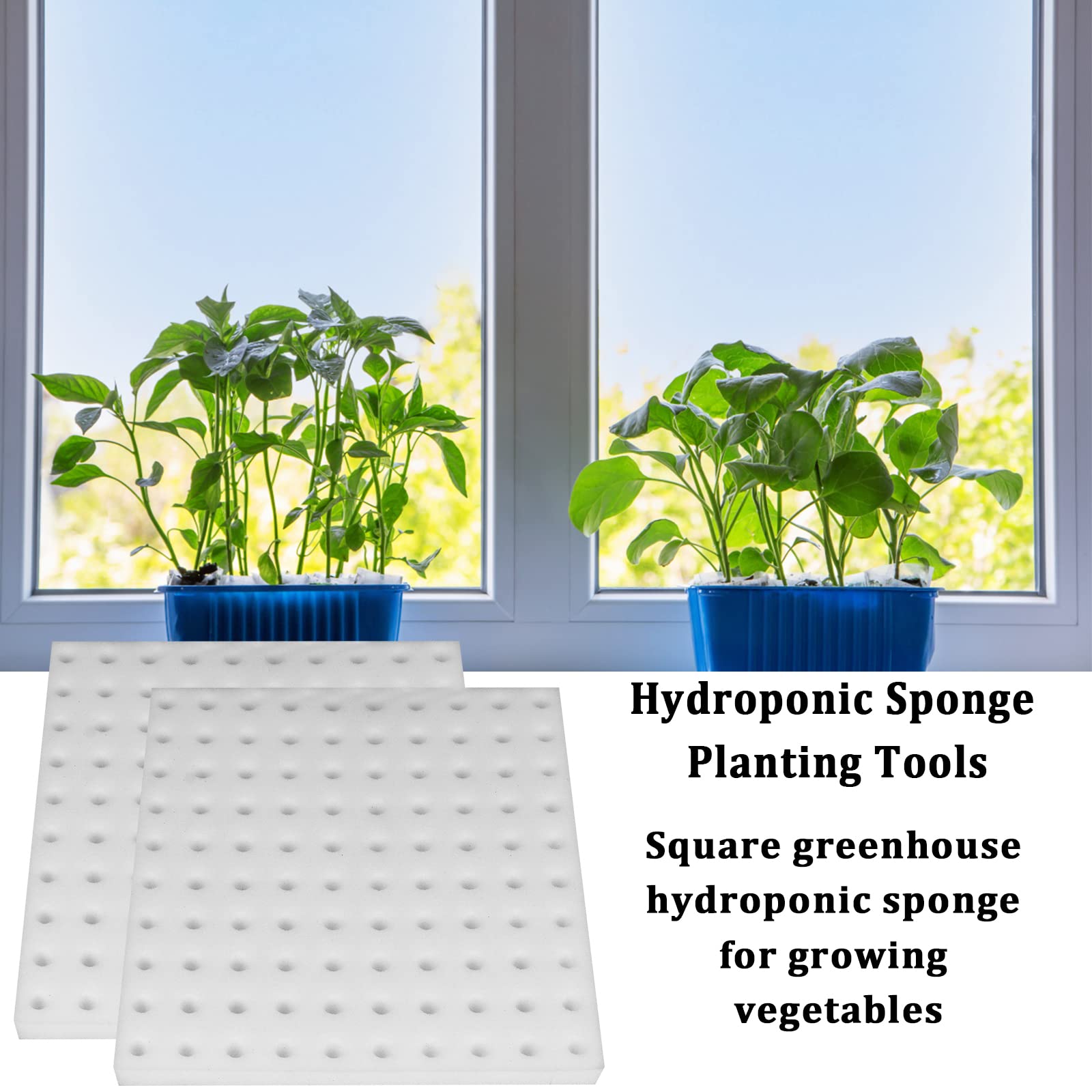 Ideal for indoor gardening and greenhouse hydroponic plant bases