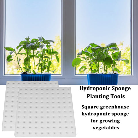 Ideal for indoor gardening and greenhouse hydroponic plant bases