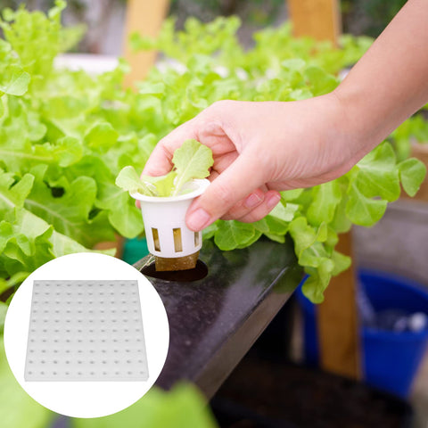 Eshylala indoor hydroponic sponge supports versatile garden setups