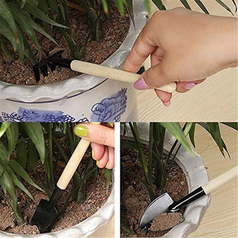 Eshylala six-piece kit displayed for small garden tasks and portability.