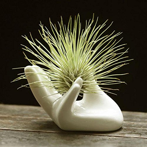 Eshylala minimalist white holder fits modern decor.