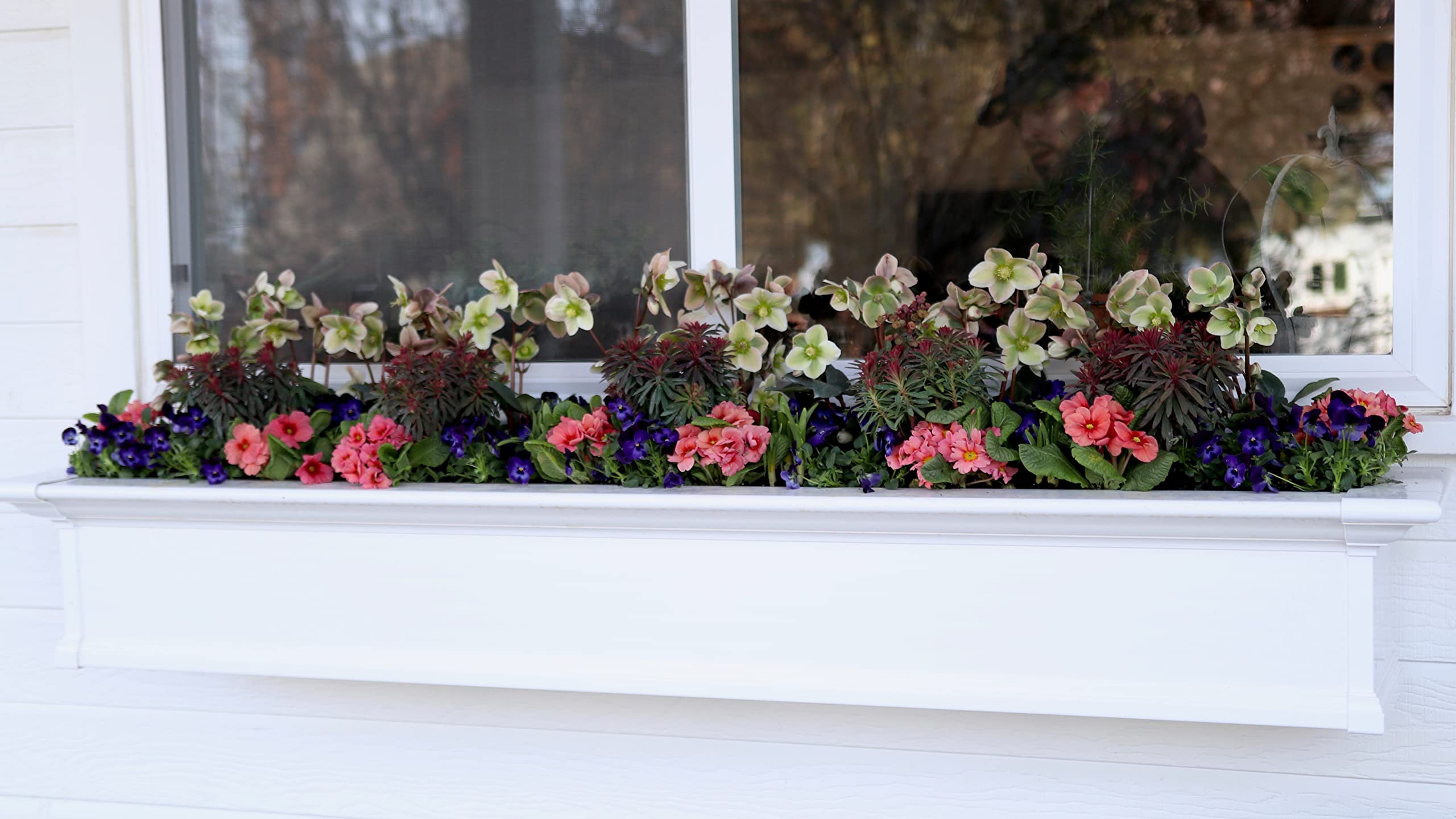 Espoma Bloom! proudly made in the USA.