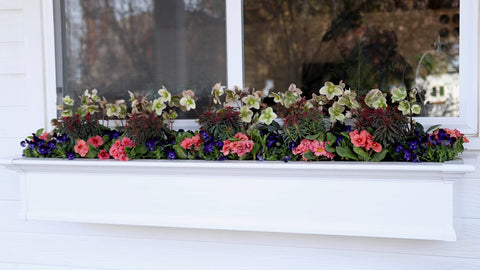 Espoma Bloom! proudly made in the USA.