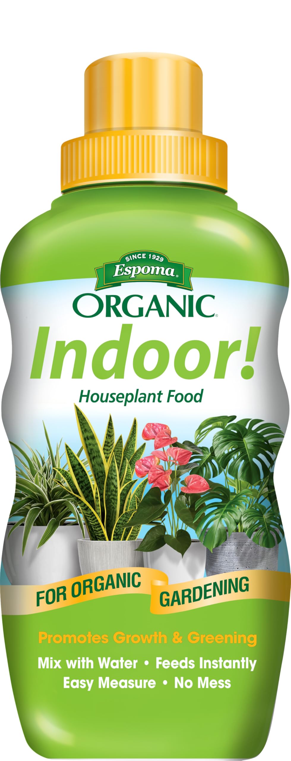 Espoma Organic Indoor Plant Food bottle pour demonstrates simple use to nourish indoor plants for thriving foliage