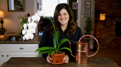 Espoma Pack 2 bottles keeps orchid care convenient and affordable
