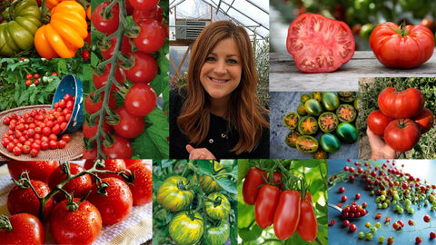 Espoma Tomato-tone approved for organic gardening in sustainable beds
