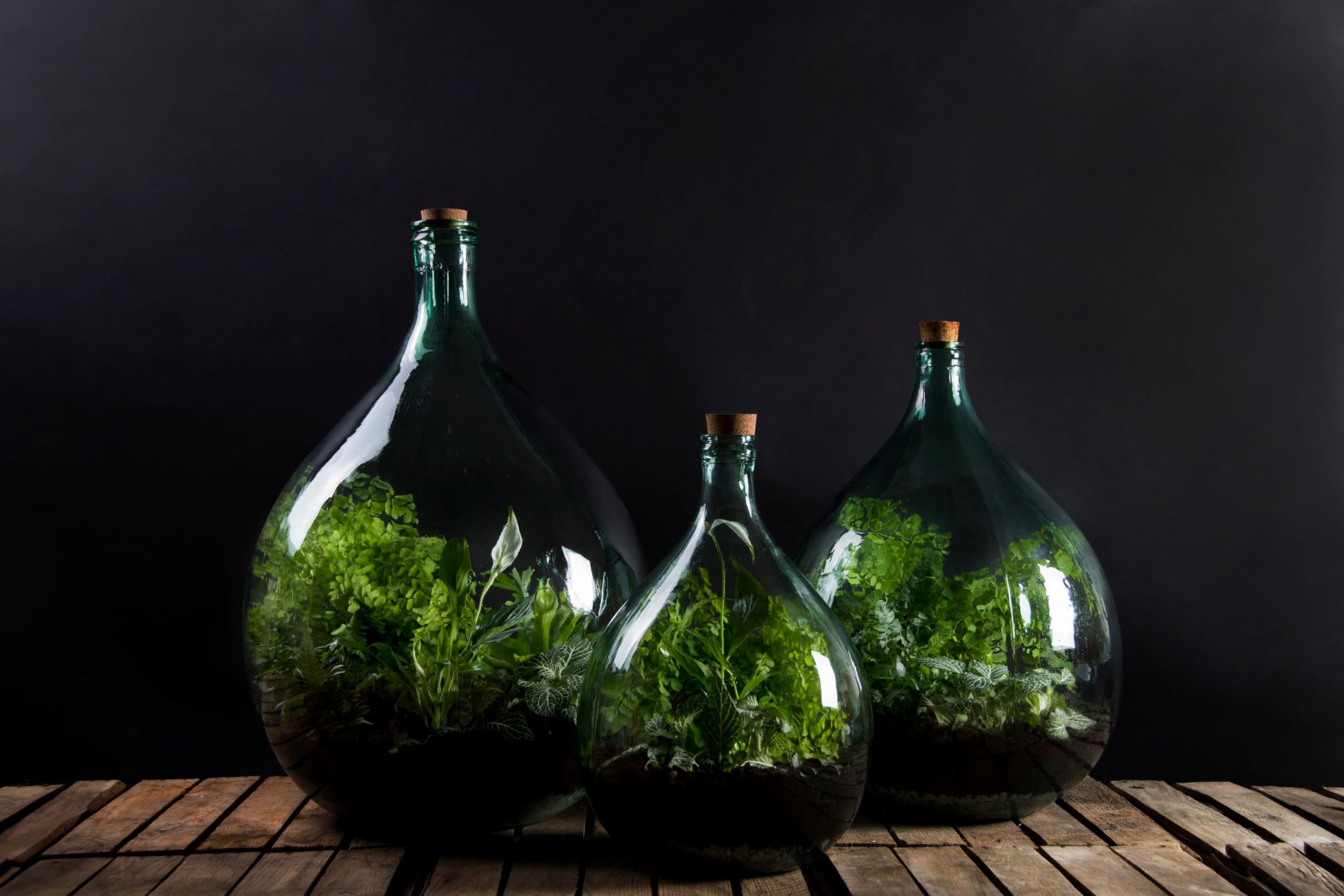 Esschert Design GT163 in-use terrarium shaping soil and positioning décor