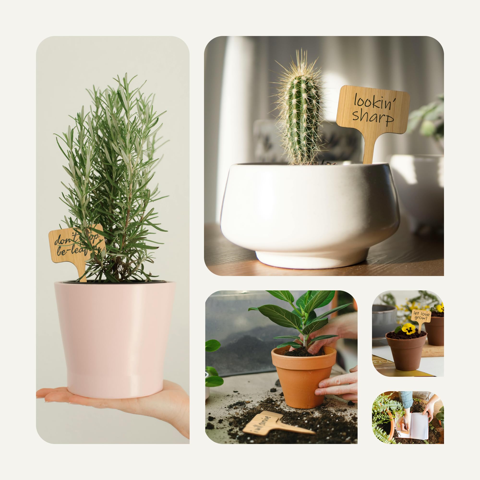 EssenZiell+ family-friendly labeling project for crafts and gardening.