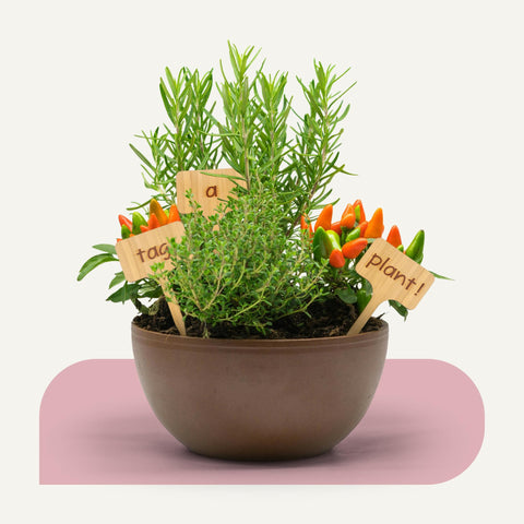 EssenZiell+ writable tags offer ample space for plant species and dates.