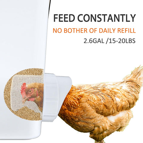 Essilnn chicken waterer cups system offering clean water for flock