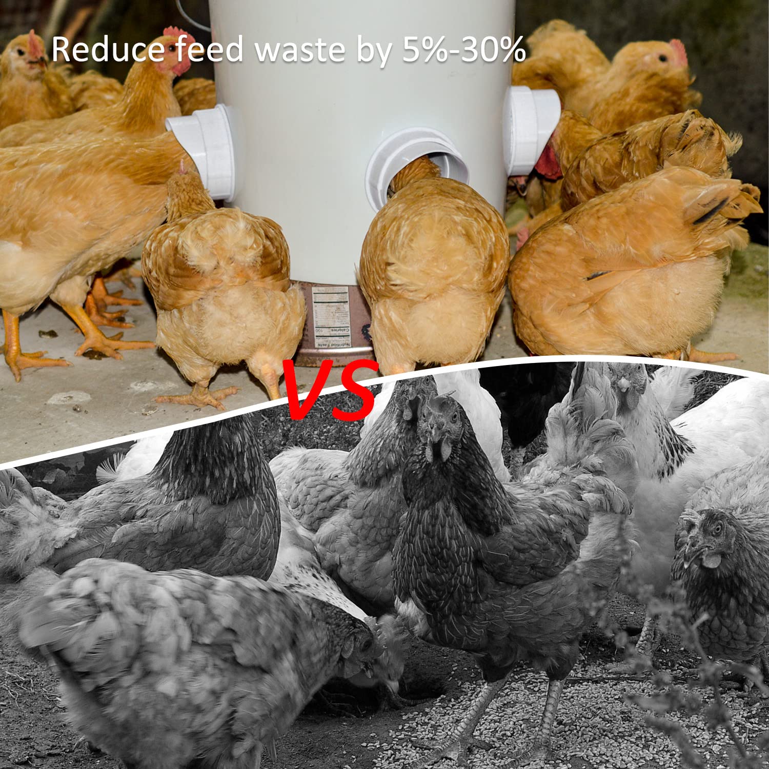 Essilnn chicken waterer cups six units showcase easy access and continuous hydration.