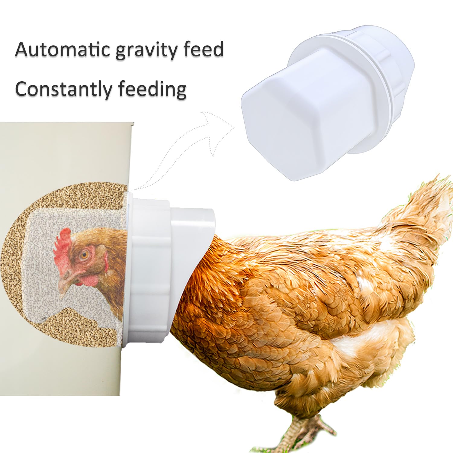 Essilnn gravity feeder with rain hood keeps feed dry during wet weather.
