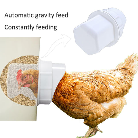 Essilnn gravity feeder with rain hood keeps feed dry during wet weather.