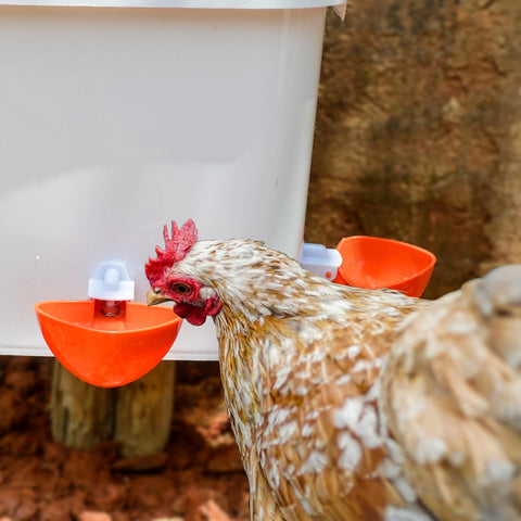 Essilnn rain hood and lid protecting feed from moisture