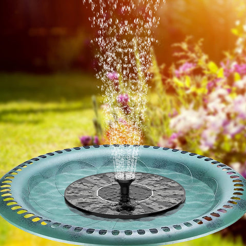 Butterflies and birds enjoy moving water from the Estefanlo pump.