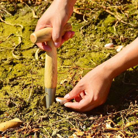 Esvopa seed dibber in garden for versatile planting and soil tasks